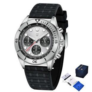 Pagani Design PD-1705-1 Silver-Silver 884143080494 фото